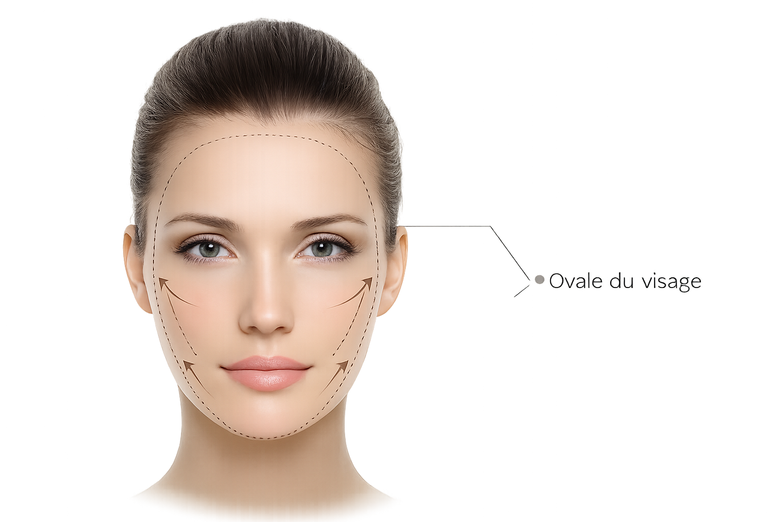 Ovale du visage